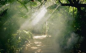 Nomade Temple Tulum